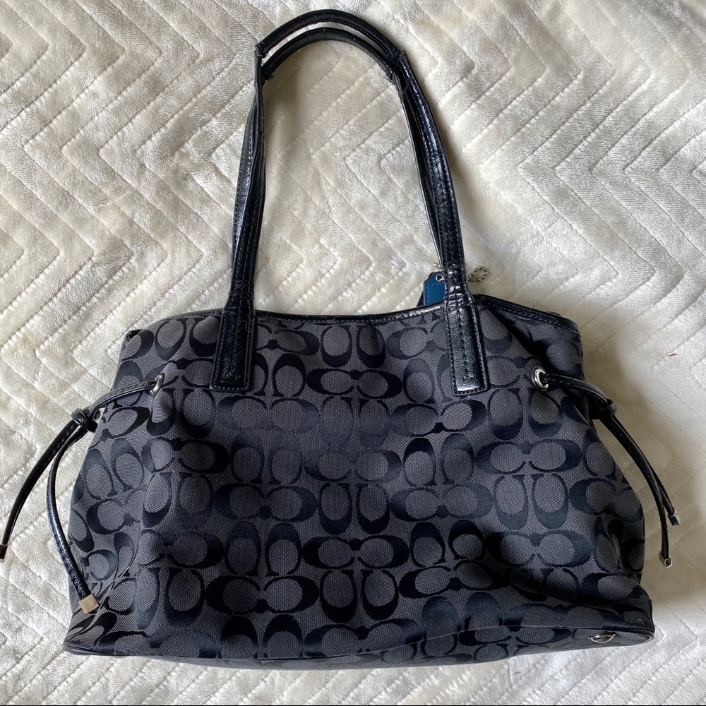 Signature Stripe Python Carryall Bag - Picture 3 of 8